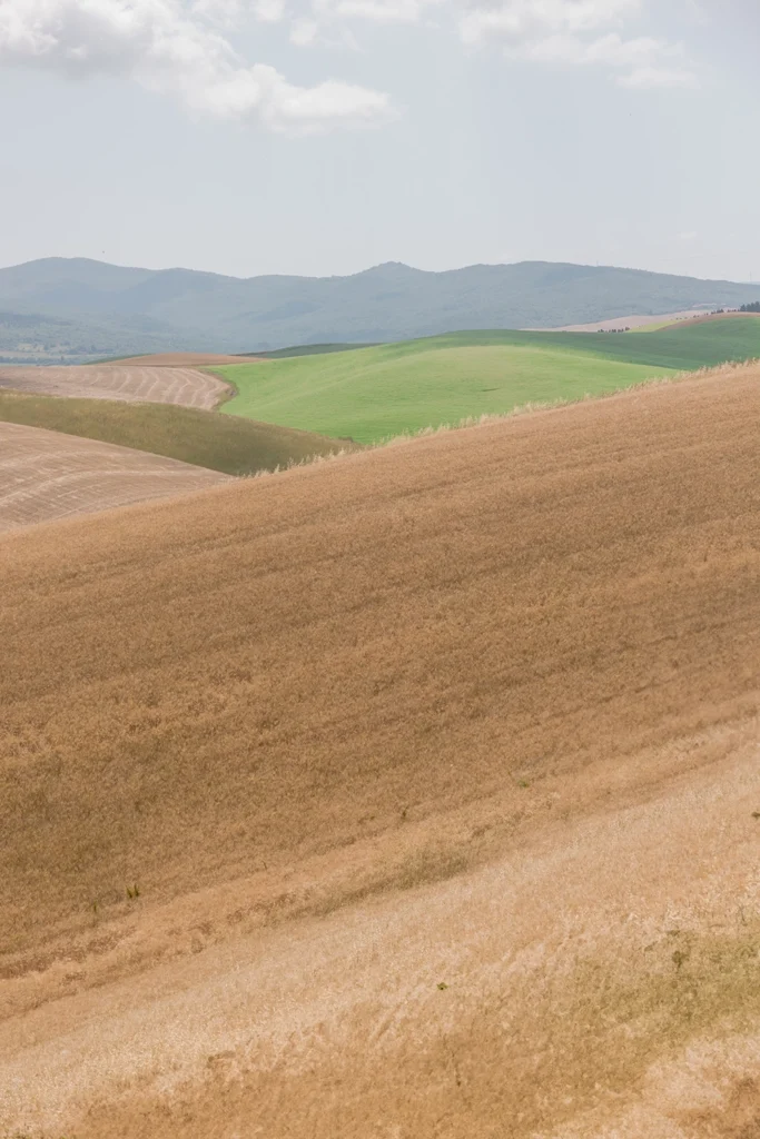 Tuscan hills